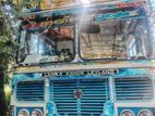 Ashok Leyland Viking Buses 2003