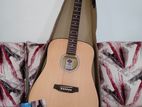 Ashton D20 Acoustic Guitar