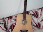 Ashton D20 Acoustic Guitar