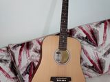 Ashton D20 Acoustic Guitar