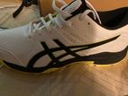 Asics Cricket Shoe