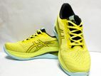 Asics Sports Shoes