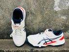 Asics Speed Menace Nail Cricket Boot