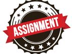 Assignment and Dessertation Writer