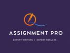 Assignment Assistance