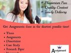 Assignment Assistance Service