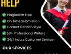 Assignment Assisting Support Service