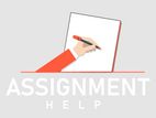 Assignment Dissertation Helping