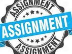 Assignment or Dissertation BSC