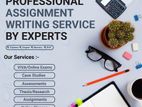 Assignment Support for Any Subject