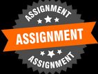 Assignment with Dissertation Assisting Msc