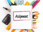 Assignment Assisting Service