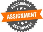 Assignments or Research Assisting