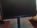 Asus 19 Monitor