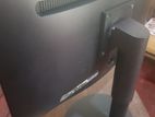 Asus 19 Monitor