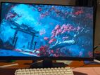 Asus Gaming Monitor VA24E 24" inch 75Hz IPS LCD