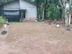 Aththanagalla : 15 perches Land for Sale at Walpola