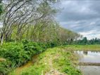 Athurugiriya Paddy Field Facing Land for Sale