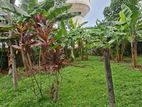 Athurugiriya Town - Prime Residential Land for Sale