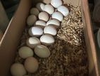 ஊர் கோழி முட்டைகள்