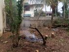 Attidiya 7p Land for Sale