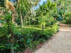 අත්තනගලු ඔයට මායිම්ව තේ පොල් වගාව සහිත වටිනා ඉඩම