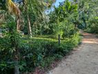 අත්තනගලු ඔයට මායිම්ව තේ පොල් වගාව සහිත වටිනා ඉඩම විකිණීමට