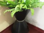 ATTRACTIVE IMPORTED INDOOR POT STAND WITH PLANT
