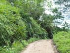 Attractive Land near Sinharaja Rain Forest in Lankagama