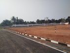 අතුරැගිරිය Millennium City එක ලගින්ම සුපිරි බිම් කොටස් විකිණීමට ඇත