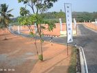 අතුරැගිරිය නගරයෙන් වටිනා බිම් කොටස් විකිණීමට