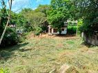 අතුරුගිරියෙන් වටිනා නේවාසික ඉඩමක් විකිණීමට!