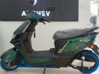 AUCHEV Pisces 2026