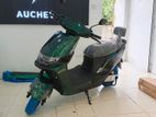 AUCHEV Pisces 2026