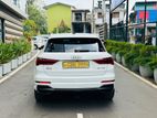 Audi A3 Q3 S Line 2019