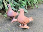 Australian Boot Pair Pigeon
