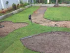 Australian Grass Flooring