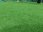 Australian Grass Carpets