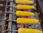Grill Machine