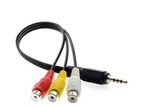 Aux Male To 3RC Female Cable