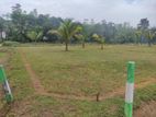 Available Land for Sale Meepe