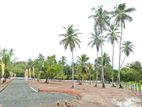 "Avani" Land for Sale in Negombo with 10.45p block