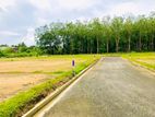 අවිස්සාවේල්ල කඩුවෙල බස් පාරට 550m දුරින් හොදම බිම්කොටස්