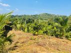 Avissawella : 2560 perches Land for sale at Seethawaka