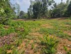 Avissawella Land for Sale 87 Perch