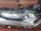 Axio 165 Head Light 597