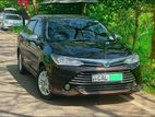 Axio Car for Rent