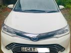 Axio Car for Rent