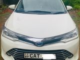 Axio Car for Rent