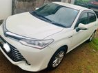AXIO CAR FOR RENT